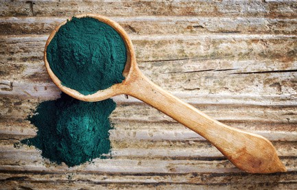 Spirulina Alge